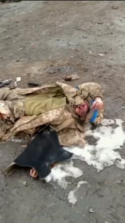 "����� �����������, ��������� �� ����*�����"