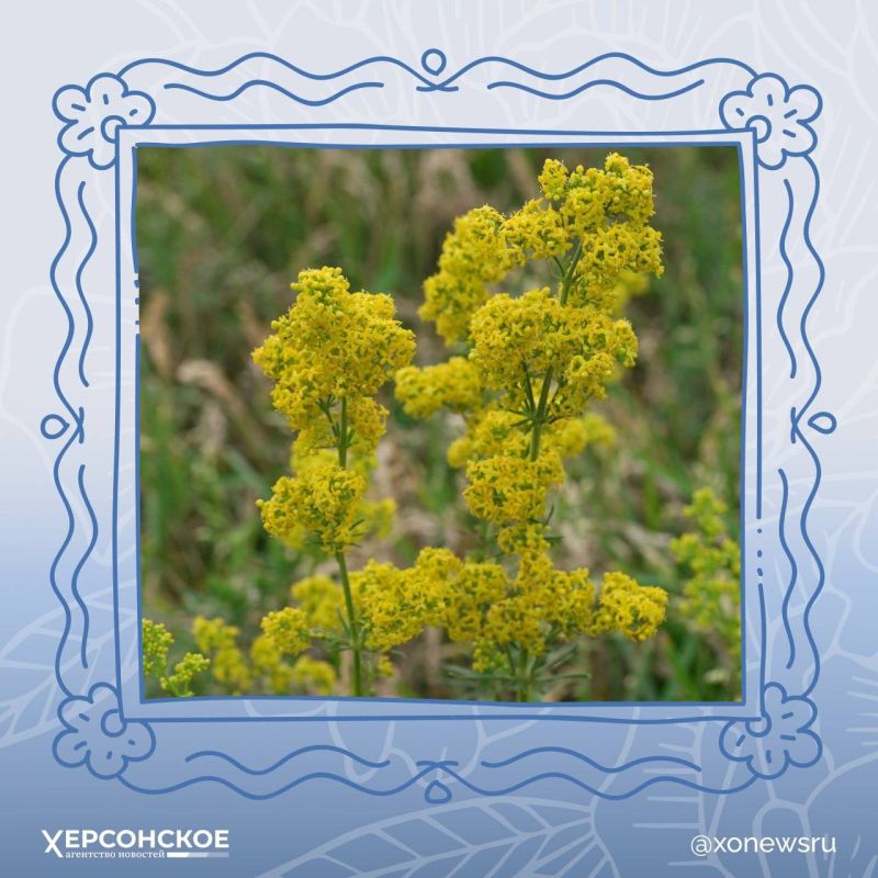 ����������� �� ����� ����������: �����, ������� ����� �������!