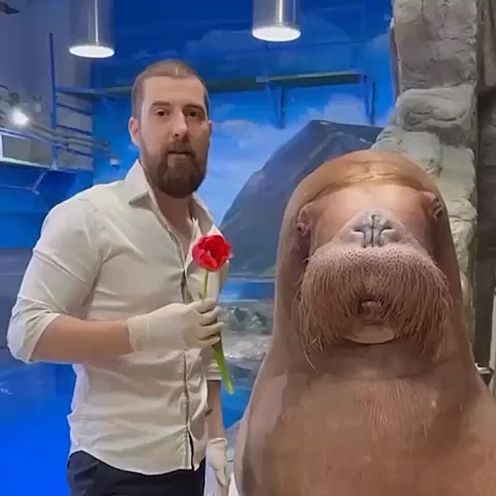 ������������� �� ����������� �����������: ���� ���� ��������� ��� � 8 �����