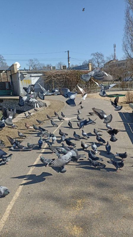 ������� ����: ��� ��������� �������� � ������, ������� ���� � �������������, ��������� ��������� ��������� �����