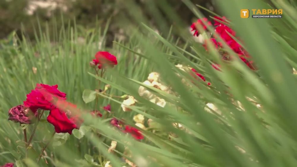 ������� ���������� ������� ���������� � 8 ����� ���������������� ����������� ����