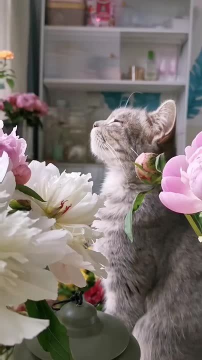 ������ ������!