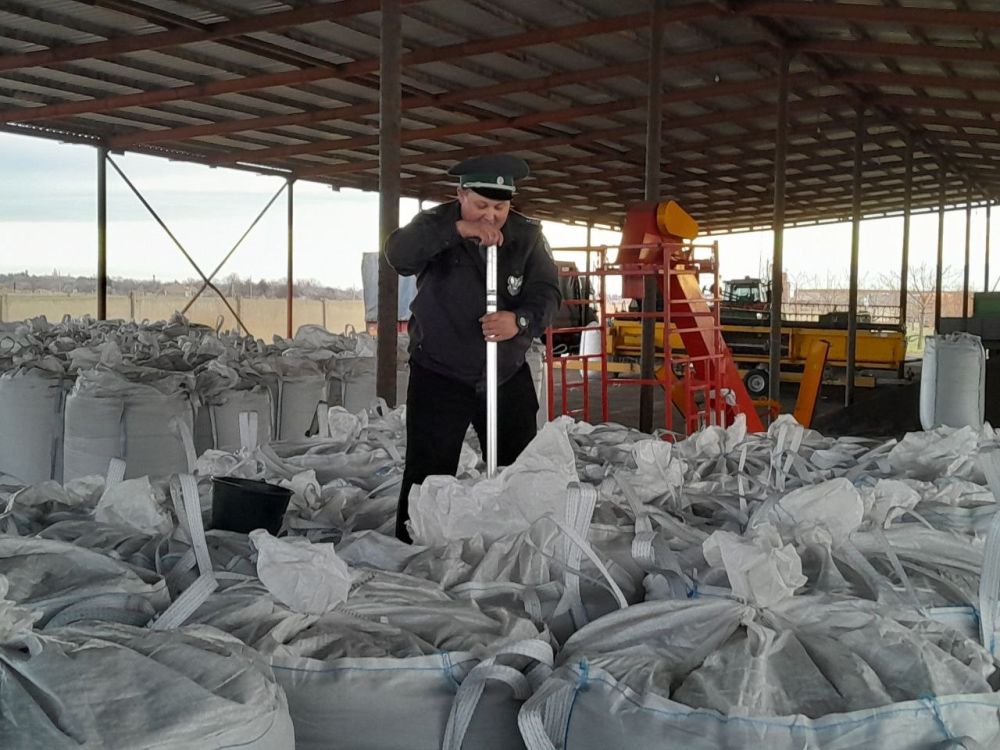 ����������� ����������������� ����������������� � ���������� ������� ����� 88 ����� ���� ������������ ���������