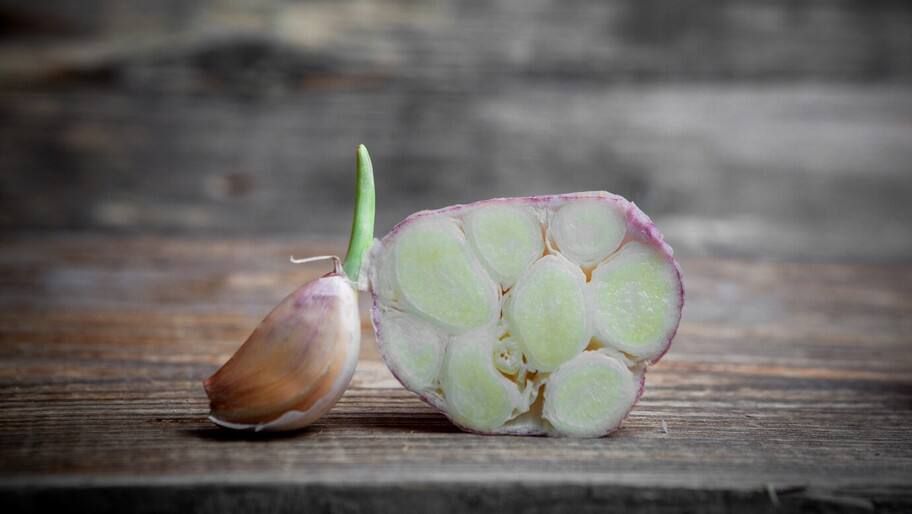 ������ �� ������� ���������