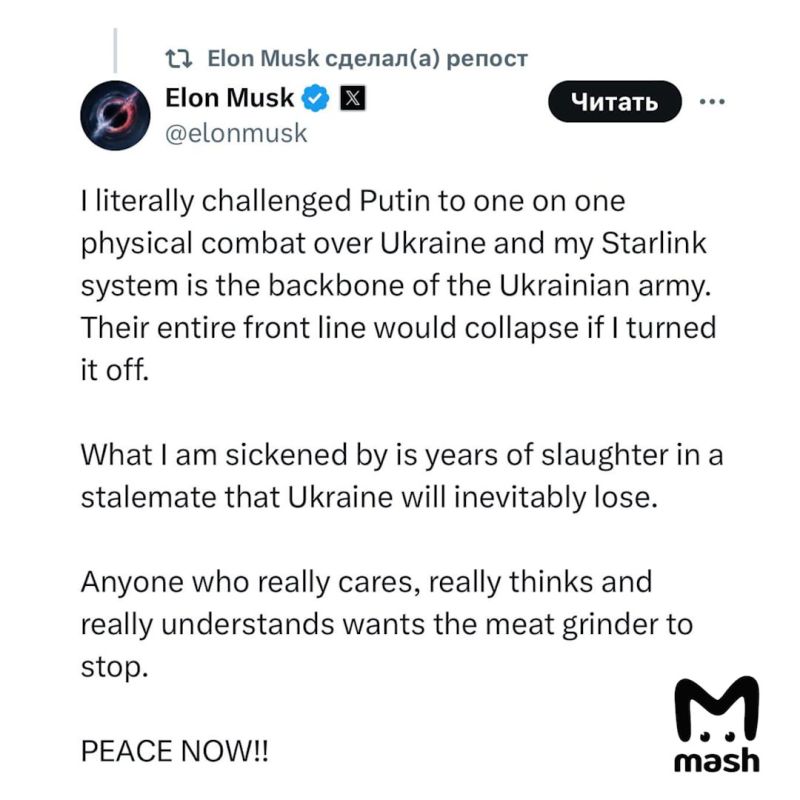 "��� ������� Starlink � ������ ���������� ����� � ���� ����� ������, ���� � �� �������"