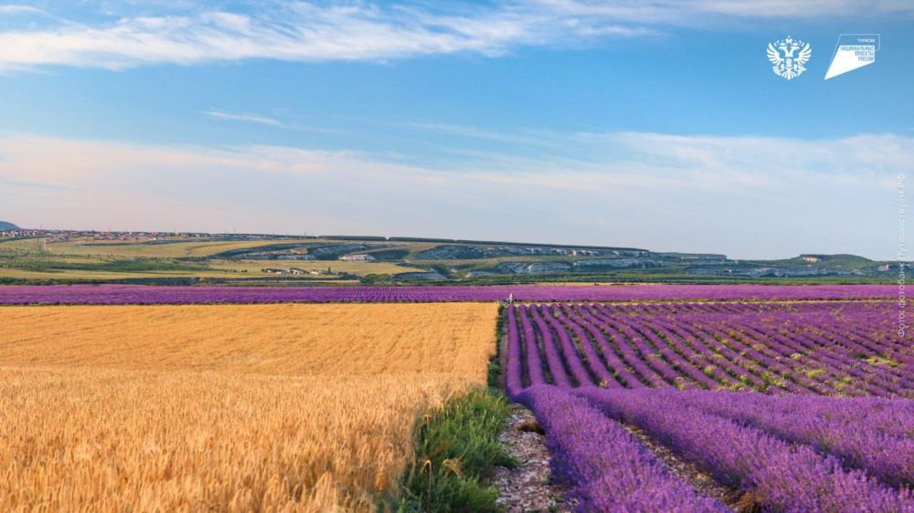 ������������� �� �����!