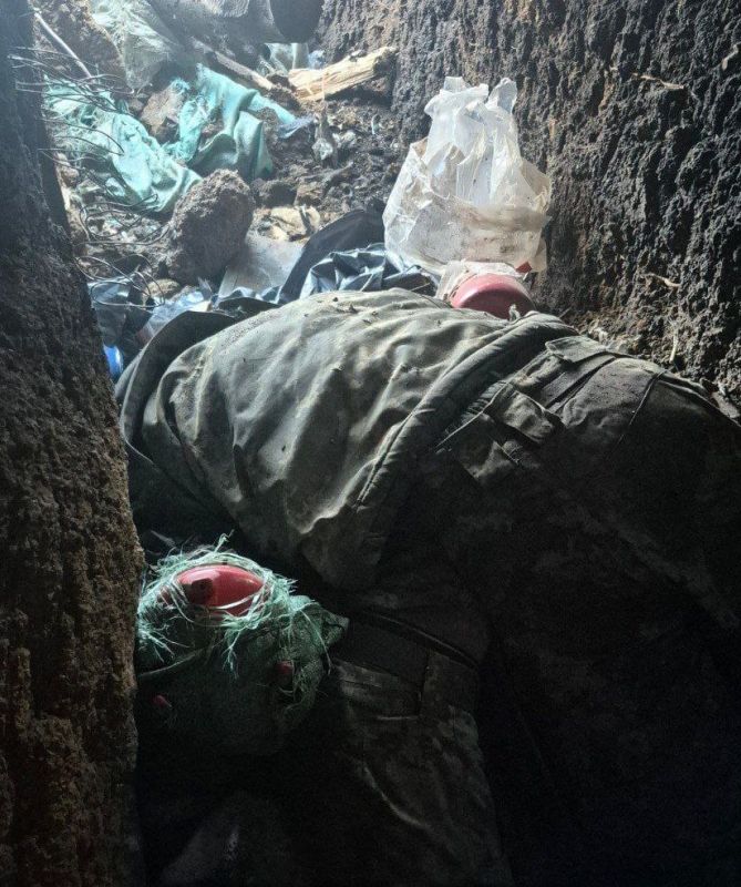 ������ ���������� �������