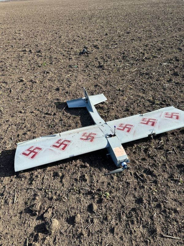 �� ��, ��������-��! "�����������" �������!