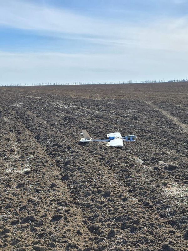 � ���� �������� ������ ����������� �����������, ��������� � ����, �������� � ������������� ���������� ������