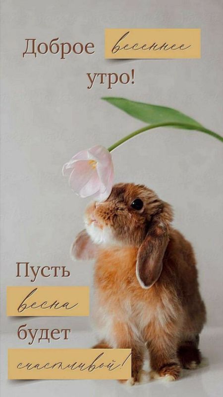 ��������� 10 �����. ���� ����������� ����� (2-� ����������� �����) ���� ������� � ������ ���� ������������� �������� ������������� ���� �������� ���� ��������� ��������-������������ ������ ���� ����������� ���������� ������...