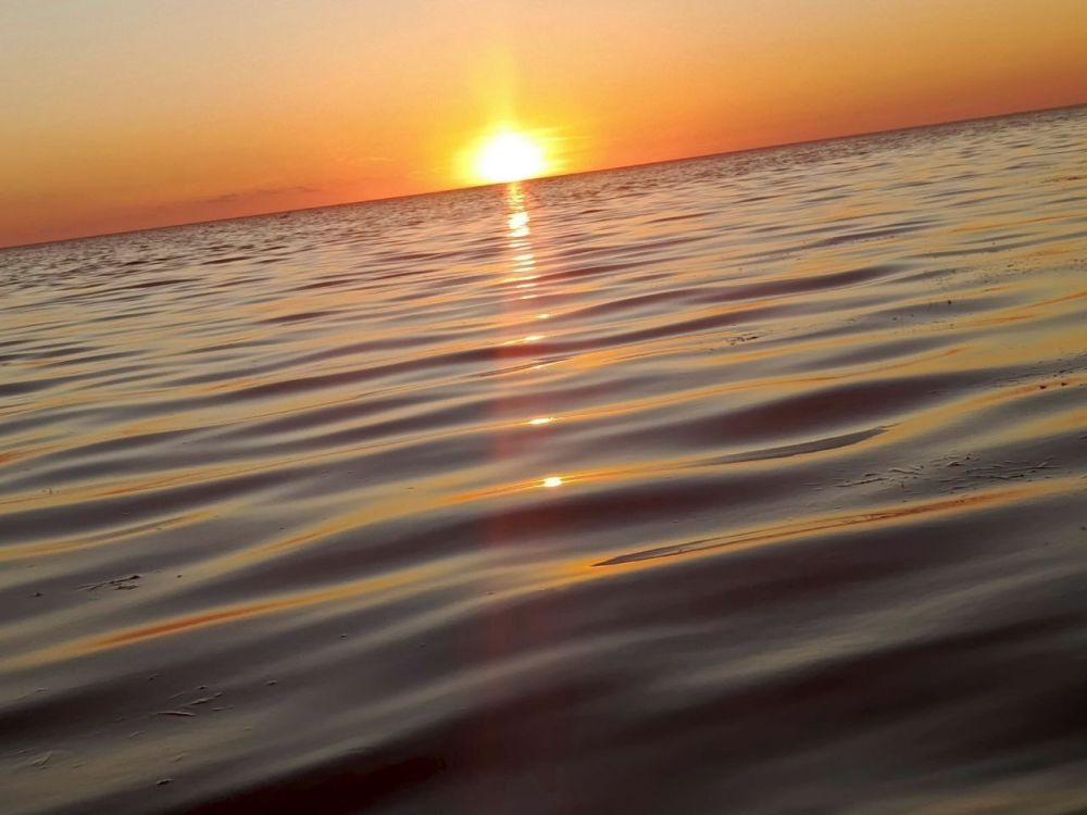 � ������ ������������ �������� �����, ��������� �������� ������� ����� �� ������ �����, ������� ��� ������� � ���������