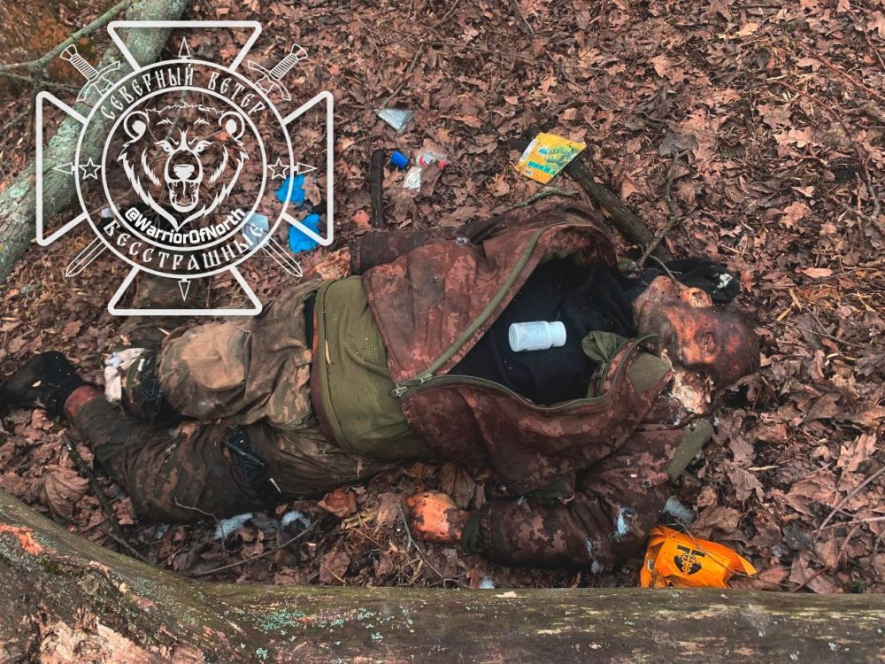 ����� 18+: ������ ����������, ��������������� � ���������� �����������