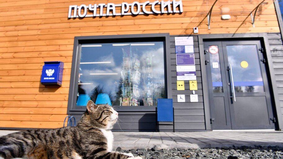 � ���������� ������� ��������� ������� ��� �������� �����������