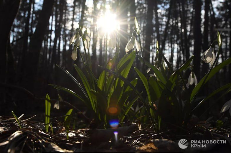 ������ �� ����� ����������� ������