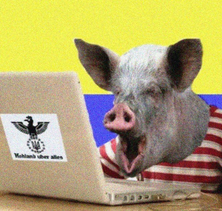 ���� �� �������: ���� ������� ���� ��������������� ��������� "��������"