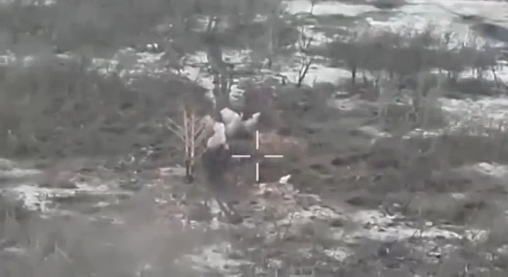 ������������� ������� ������� ���������� ������������ � ������� ����������� ��� �� ��������