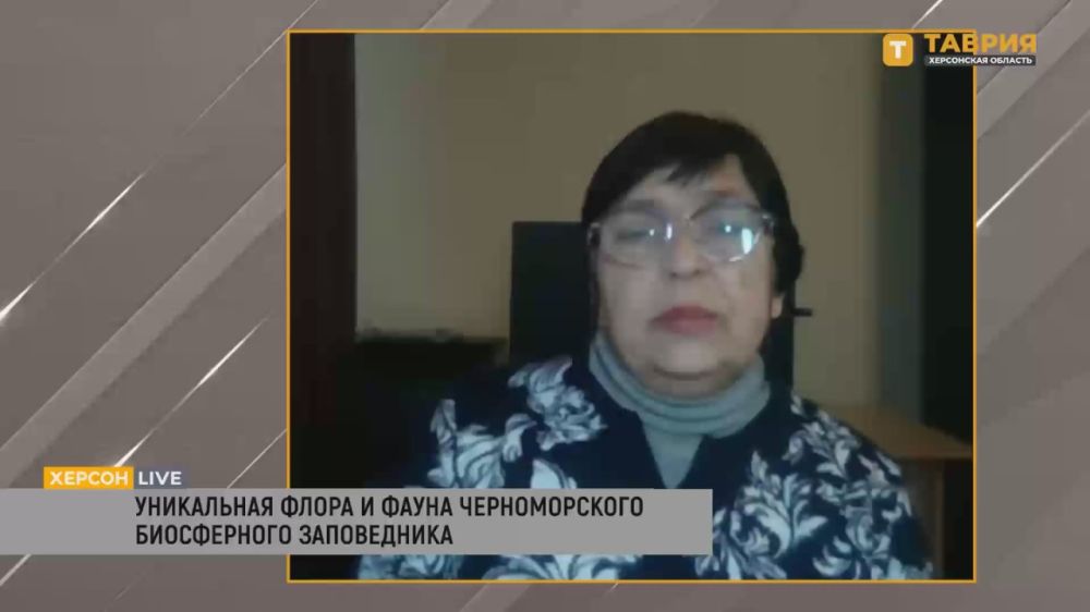 �� ���������� ������������� ����������� ����������� ����������� ��������� ������������� ����� �������� � ��������, ���������� ��� ��������