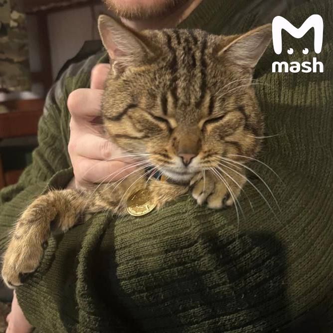 �����-�������� ������ �������� ������ ��-��� ���� � ���� ���