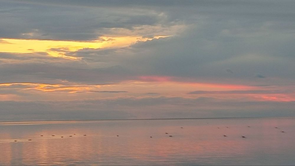 � ������ ������������ �������� �����, ��������� �������� ������� �� ������� ����������