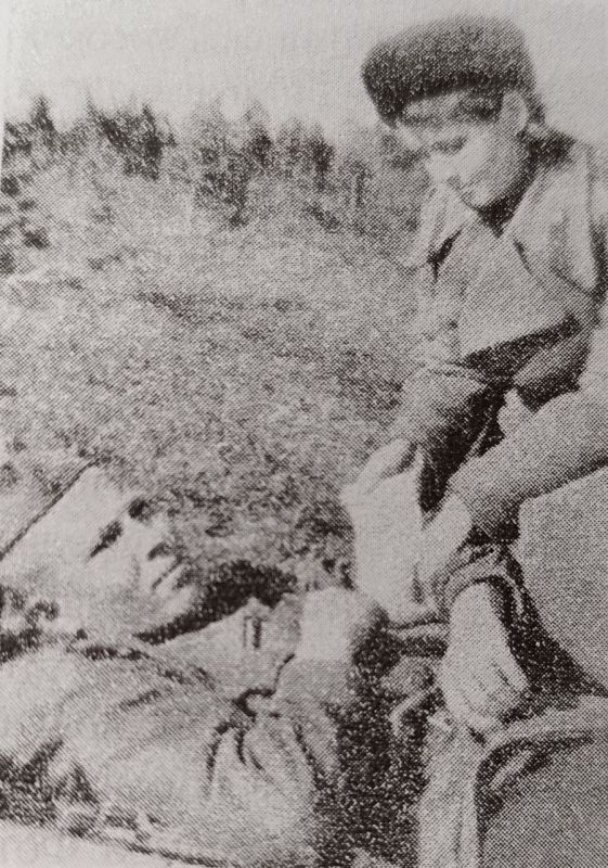 ���� ������ ���������� ������