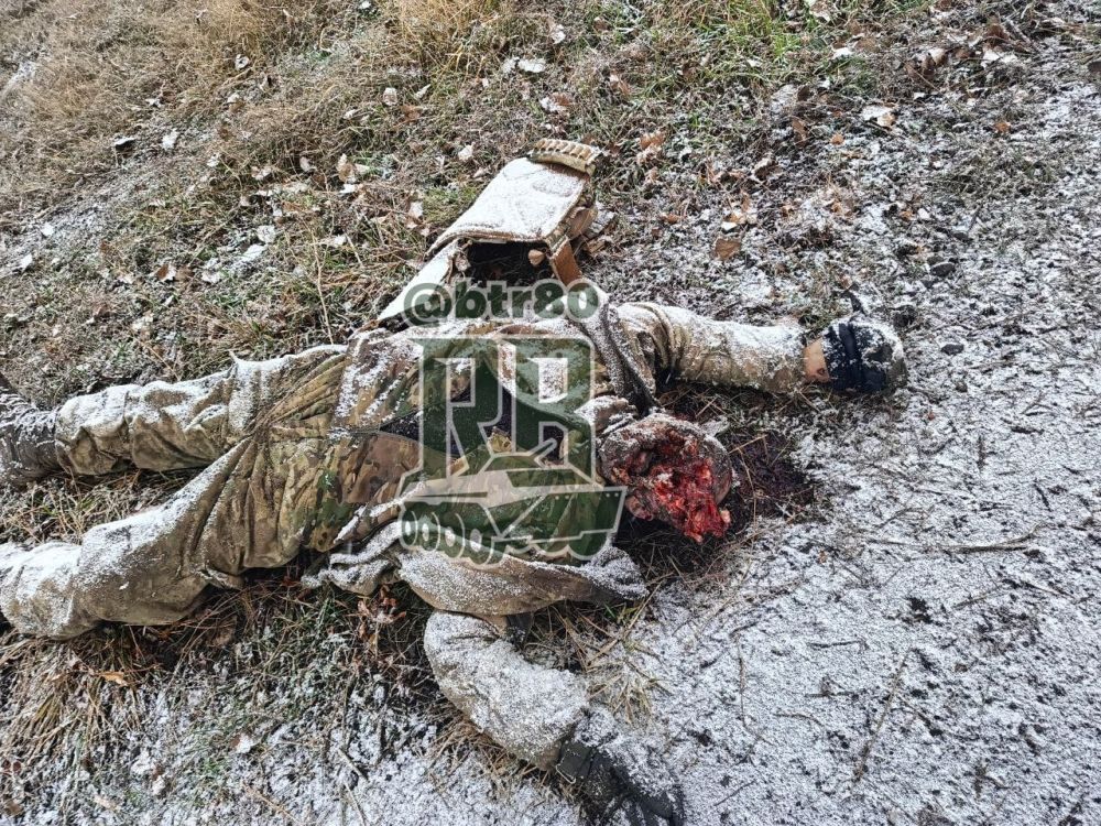 ��������� ���������� ����� ����� ���������