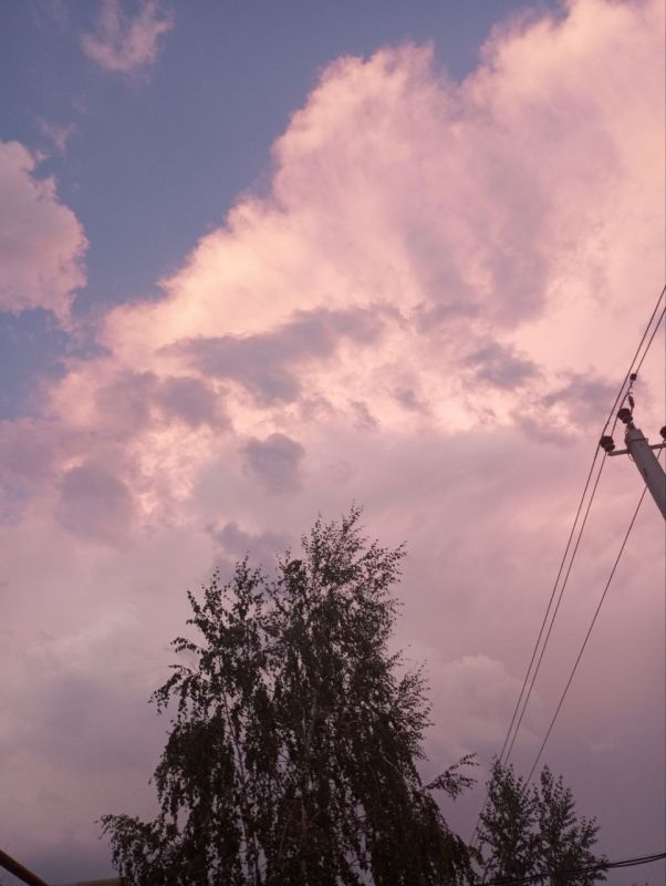 Публикуем снимки, присланные к нам жительницей Скадовска, в рамках конкурса «Любимый округ»