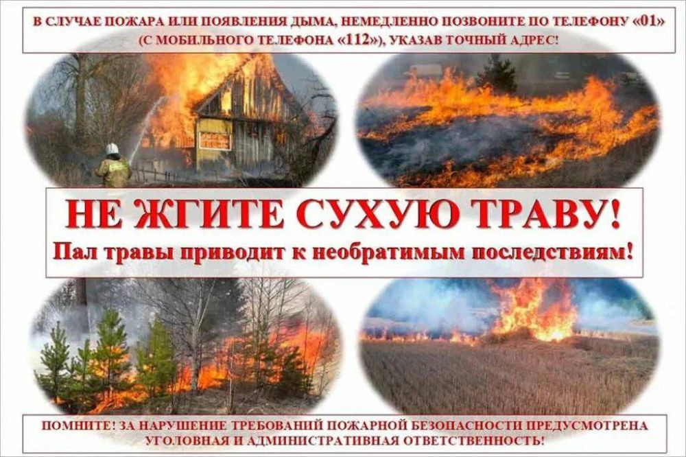 ������� ����: ��������� ������ ���������� ������ ������ ����� �������