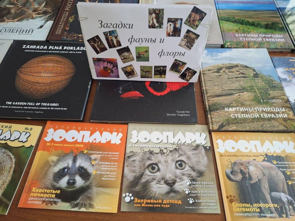 ������� �������� "������� ����� � �����" ��������� � ����������� "�������-���� "