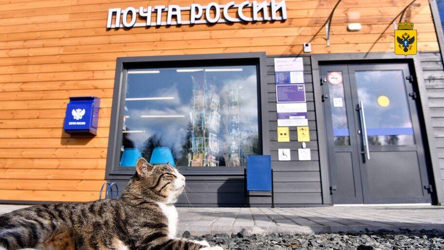 � ���������� ������� �������� ������� ��� �������� �����������