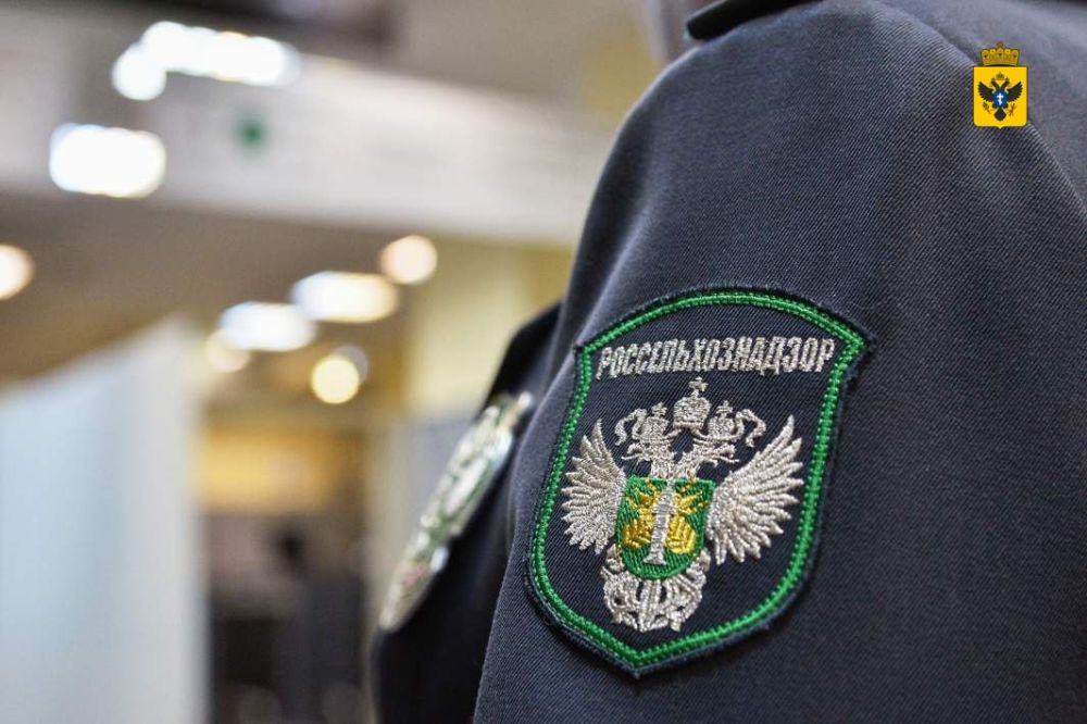 � ���������� ������� ���������������� ���������������� ����� 88 ����� ���� ������������ ���������