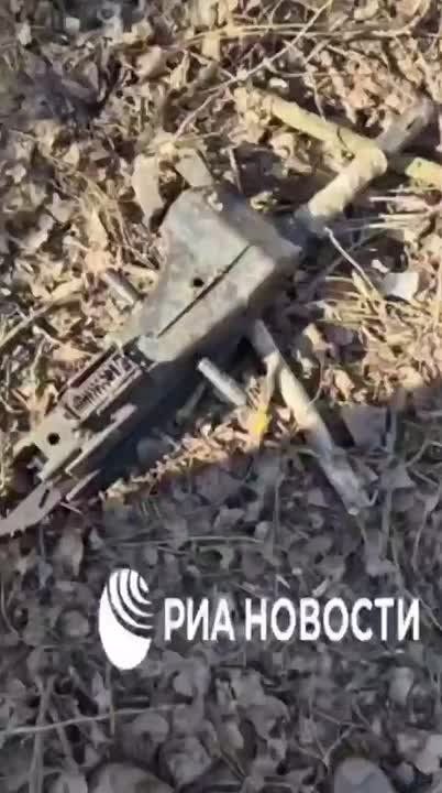 �������� �� ��� ���.. ��������-����� ���������� �������