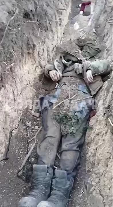 �i��� � ����������� �������� � �������� �� ����������� �����������