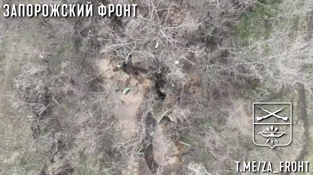 ���� �� �������: ����������� ������ ��� �� ����������� ����������� �������� ���������� ��������������� �����