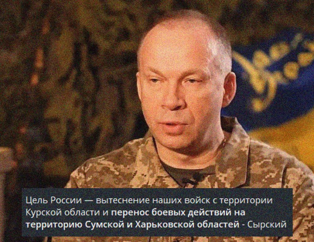 Енот из Херсона: Кофейная гуща разгадала наши планы