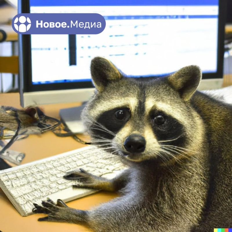 ���� �� �������: ������? ����� ������� ����� ������ � ������� ������? ����������� � ��� ���� ��� �����