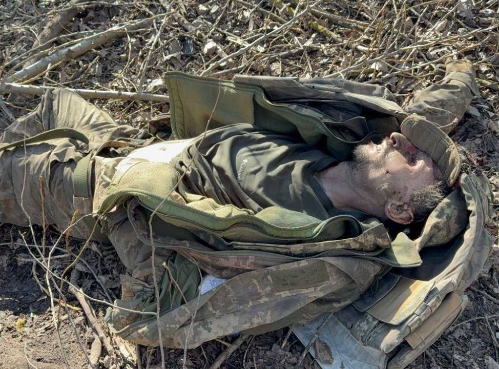 ������� ������� ��������� ������ ������� ���