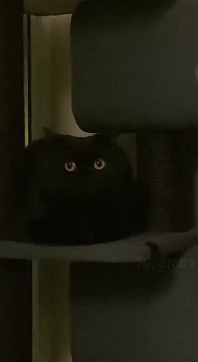 ������ �� �������, �� ����� ������!