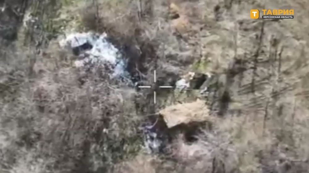 ������ ���� ����������� ����� "�����" ��������� ��������������� ����������� ������������ ���� "�������"