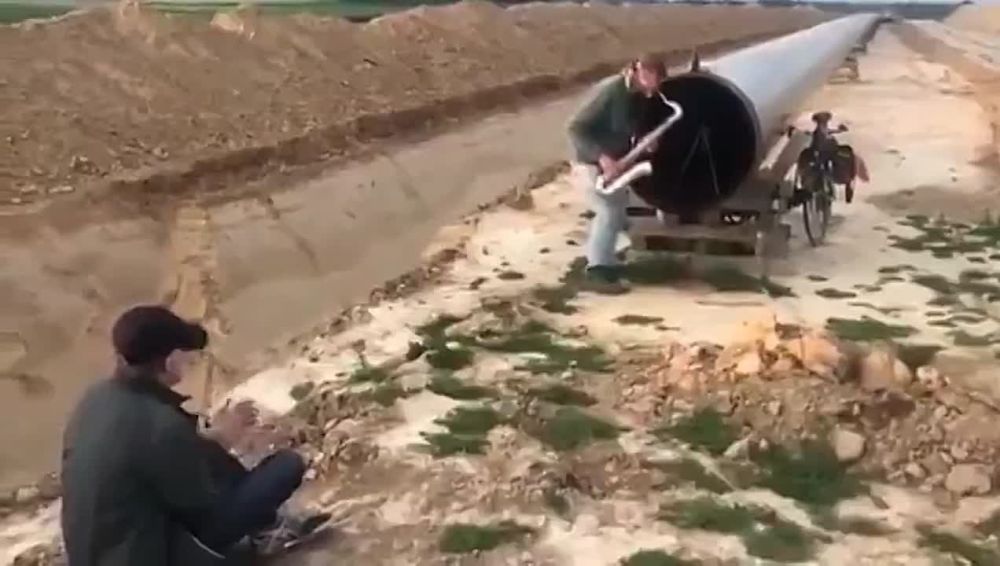 ������ ���������� ������� �� �������������� � ��������� � ��� ��������� � �����, ��� ����� �������� �������� �� ������ � ��������� ��������� �� ������, ��������� ���������� ������������