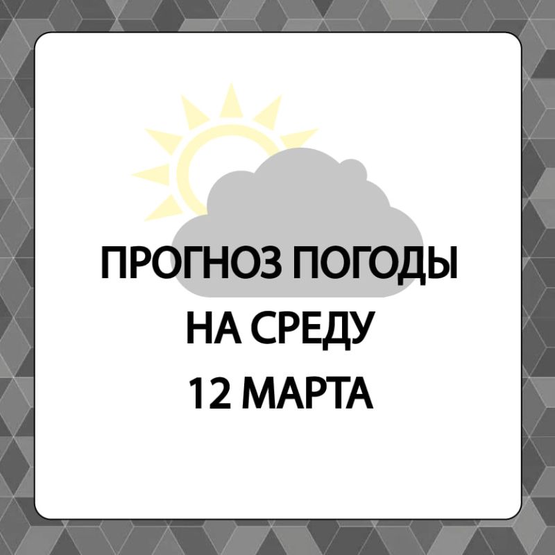 ������� ������ � ����������� ������������� ������ �� �����, 12 �����