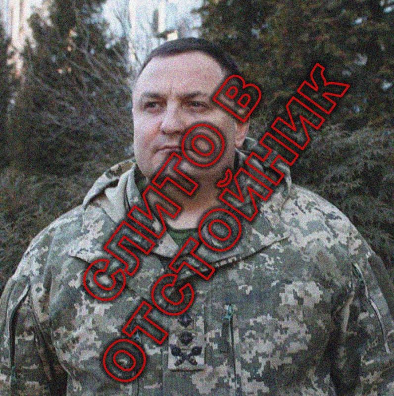 Енот из Херсона: Командующего ОК «Север» ВСУ Дмитрия Красильникова, отвечающего за Курскую область, уволили с должности