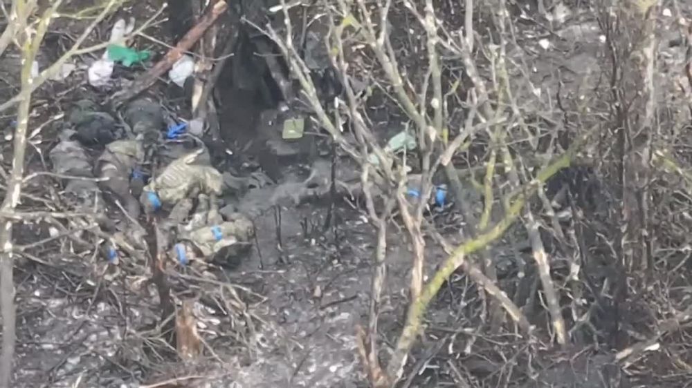 ������ � ������� ������� � ���������� ������� �� �������� ��������