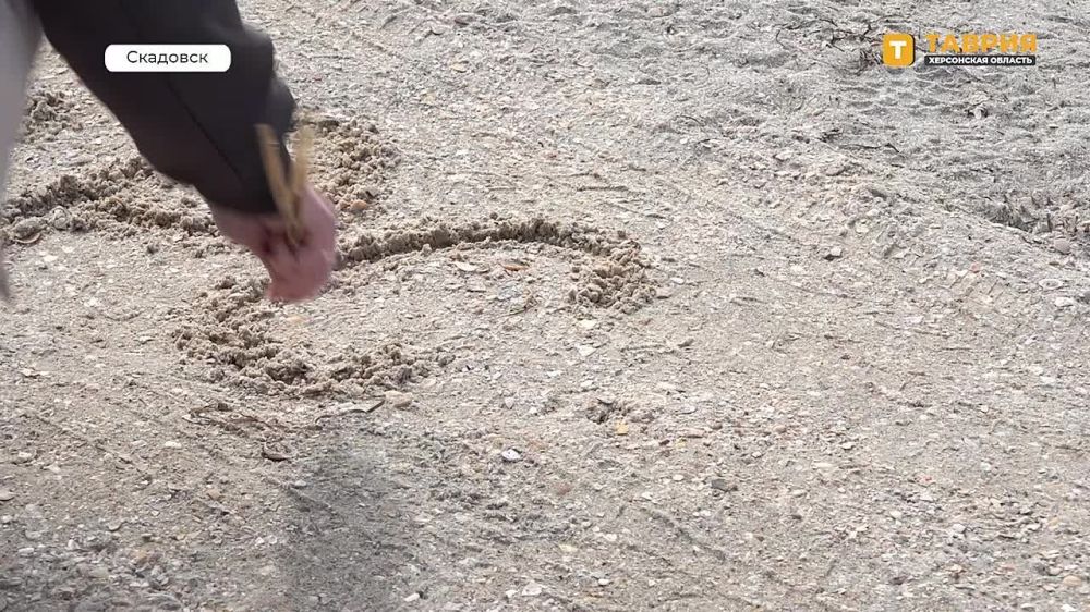 В День освобождения Херсона от немецко-фашистских захватчиков в регионе прошли памятные мероприятия