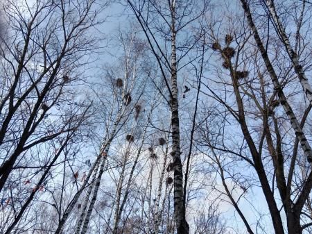 ������� ����� �������� ����� ������� ������� � ������ ������������� ����� �����������