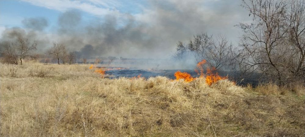 � �������� ���������� ������ ������� ������ ������ ������ ������������� �����