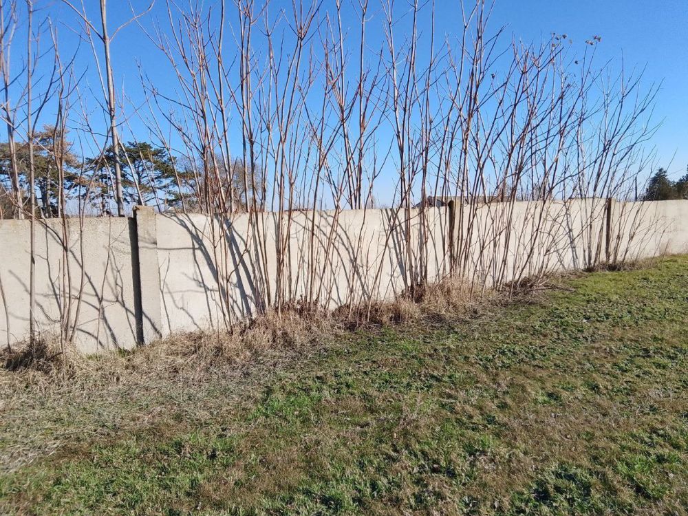 Сотрудники МКУ «Благоустройство Голопристанского МО» продолжают работы по уборке общественных пространств и территорий