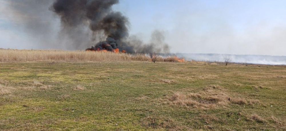 В Чернянке местные жители ликвидировали пожар своими силами