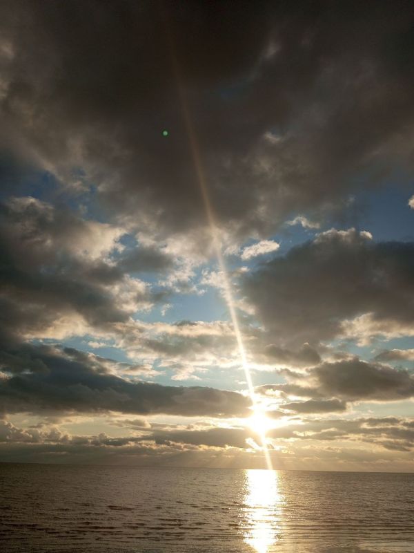 � ������ ������������ �������� �����, ��������� �������� ����������, ��������� � ������ ���������� ���������