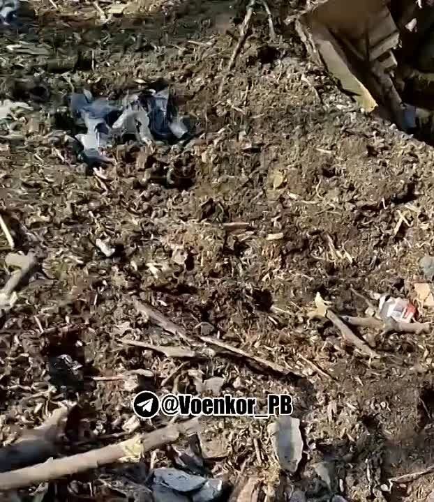 � ���������� ������ ������� ������� ����, ����� ����� � ���� ��������� ���������� "�������"