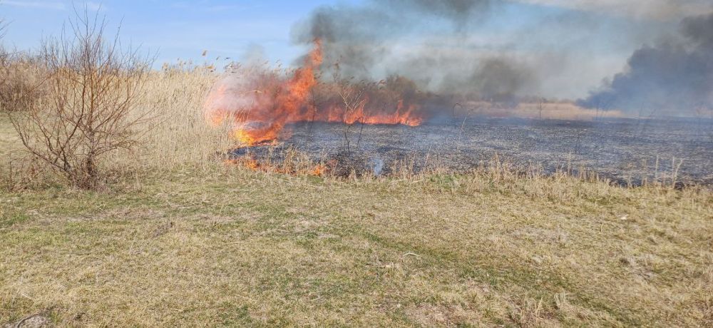 ������ �������� ���������� ������ ������ ������ ������������� ����������� �����